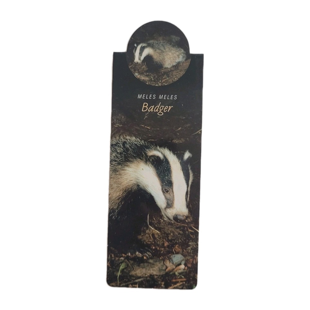 Cardmarks Badger Meles Wild Animals Magnetic Magnet UK Company If #2405, Y2k 00s